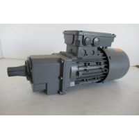 314 RPM 0,25 KW Asmaat 20 mm. Unused